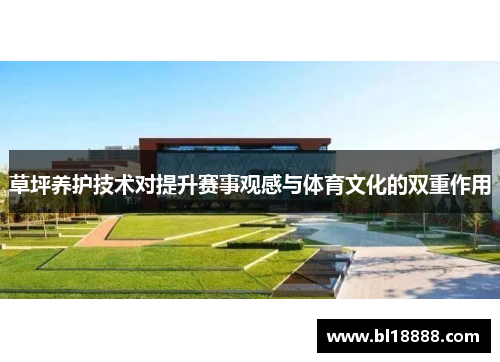 草坪养护技术对提升赛事观感与体育文化的双重作用